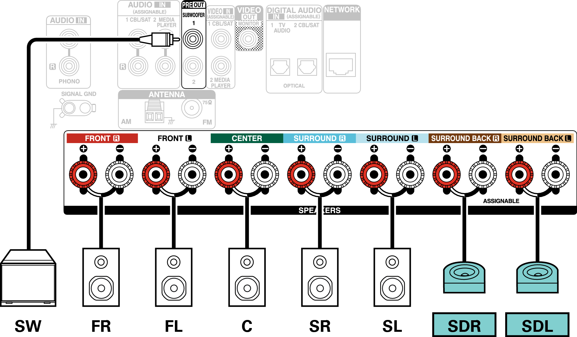 Conne SP 7.1 SD X17E2